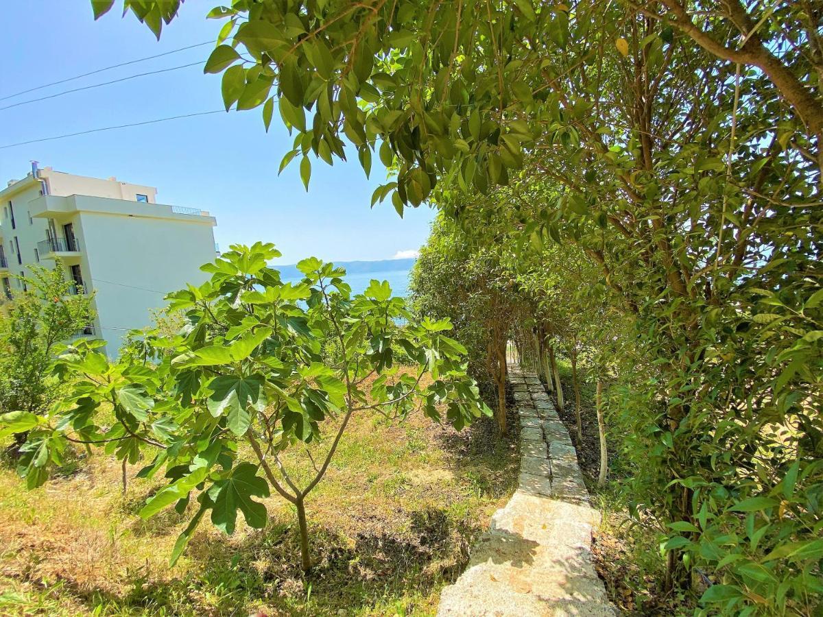 Ramo'S Cozy Beachside Haven With Panoramic Views - 1St Vlorë Eksteriør bilde