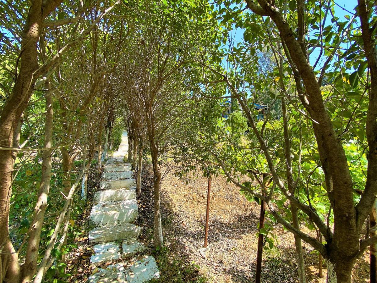 Ramo'S Cozy Beachside Haven With Panoramic Views - 1St Vlorë Eksteriør bilde